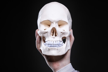White human skull on black background.