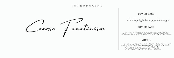 Signature Font Calligraphy Logotype Script Font Type Font lettering handwritten
