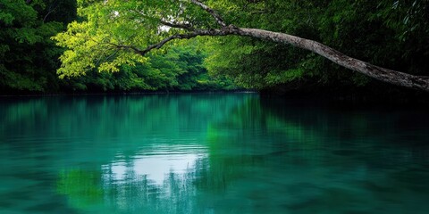 Obraz premium Serene Tranquil River Surrounded by Lush Greenery in a Peaceful Natural Landscape