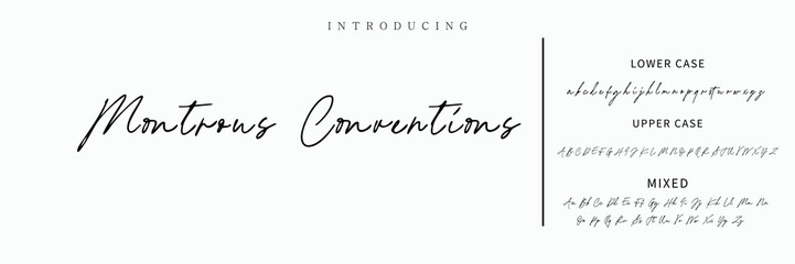 Signature Font Calligraphy Logotype Script Font Type Font lettering handwritten
