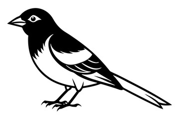 a bobolink bird line art vector illustration