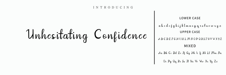 Signature Font Calligraphy Logotype Script Font Type Font lettering handwritten
