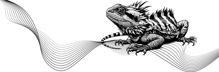 iguana and wave line, iguana vector art