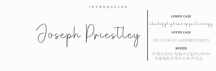 Signature Font Calligraphy Logotype Script Font Type Font lettering handwritten

