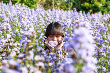 Serenity in Lavender Fields