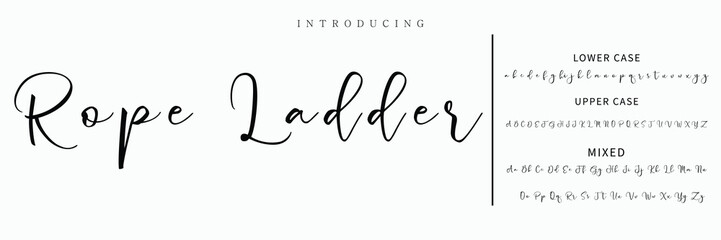 Hand drawn vector alphabet. Modern monoline signature script font. Elegant Signature Font. Best Alphabet Beautiful Calligraphy Signature Font lettering
