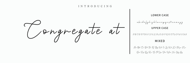 Hand drawn vector alphabet. Modern monoline signature script font. Elegant Signature Font. Best Alphabet Beautiful Calligraphy Signature Font lettering