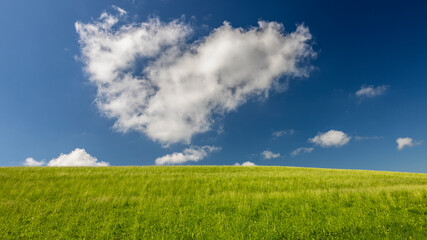 Eine grüne Wiese vor bewölktem Himmel