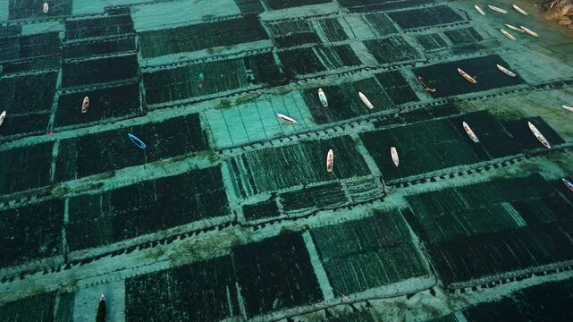 Drone view of seaweed farm at Lembongan island in Indonesia