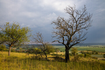 Fototapeta premium Seweckenberge Gersdorfer Burg Quedlinburg