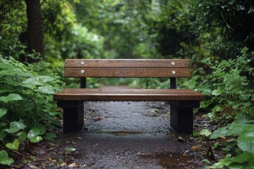 Naklejka premium Wooden bench surrounded by greenery in a quiet outdoor park