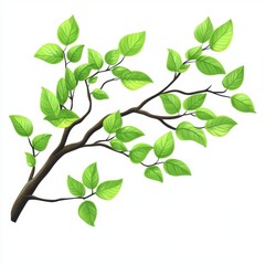 A detailed tree branch with vibrant green leaves isolated on a transparent or white background, ideal for use in design projects or nature-themed compositions.