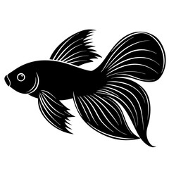  Minimalist simple Betta fish silhouette vector art illustration