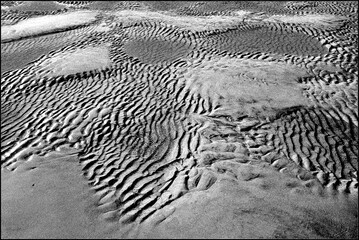 mudflats on the north sea
