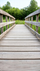 Recycle conservation renewal sustainability concept. Wooden bridge leading into a lush green environment under a clear sky.