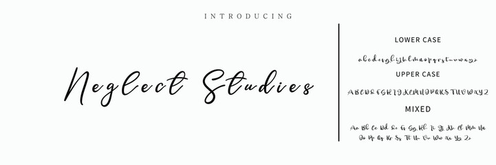 Signature Font Calligraphy Logotype Script Font Type Font lettering handwritten.