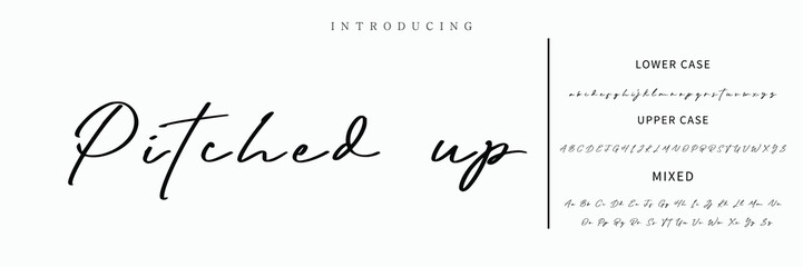 Signature Font Calligraphy Logotype Script Font Type Font lettering handwritten.