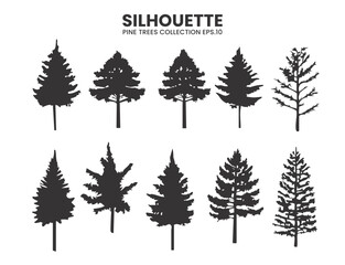 Obraz premium Silhouette Pine Trees Collection – Vector Illustration