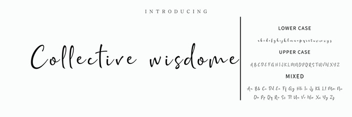 Fototapeta premium Signature Font Calligraphy Logotype Script Font Type Font lettering handwritten.