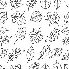 Seamless pattern of leaves in black line art isolated on white background.Vector illustration
