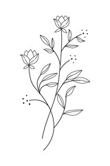 Hand-Drawn Twigs with Leaves in a Botanical Style