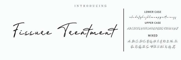 Hand drawn vector alphabet. Modern monoline signature script font. Elegant Signature Font. Best Alphabet Beautiful Calligraphy Signature Font lettering