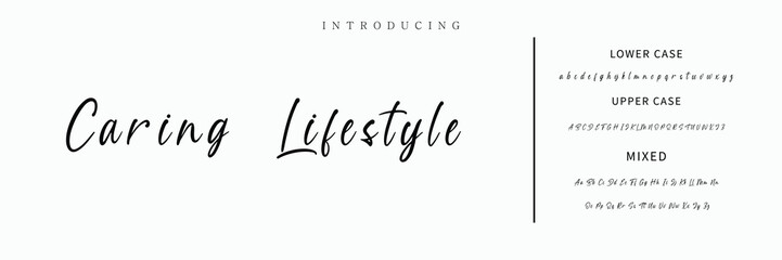 Hand drawn vector alphabet. Modern monoline signature script font. Elegant Signature Font. Best Alphabet Beautiful Calligraphy Signature Font lettering