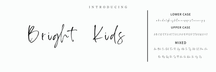 Hand drawn vector alphabet. Modern monoline signature script font. Elegant Signature Font. Best Alphabet Beautiful Calligraphy Signature Font lettering