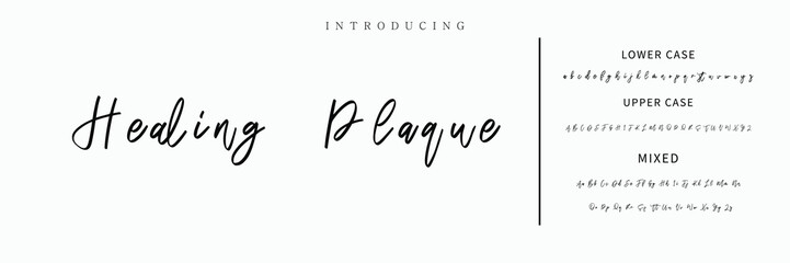 Hand drawn vector alphabet. Modern monoline signature script font. Elegant Signature Font. Best Alphabet Beautiful Calligraphy Signature Font lettering