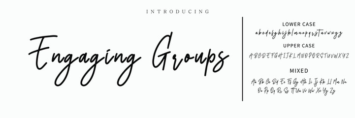 Hand drawn vector alphabet. Modern monoline signature script font. Elegant Signature Font. Best Alphabet Beautiful Calligraphy Signature Font lettering