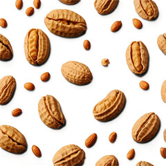 peanuts isolated on white