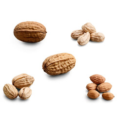 peanuts isolated on white