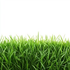 Fototapeta premium A lush green grass field set against a transparent or white background, ideal for showcasing products.