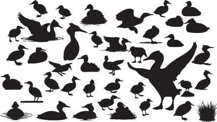 Grebe Silhouette Collection