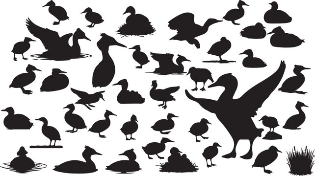Grebe Silhouette Collection