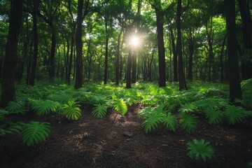 Fototapeta premium Sunlit forest with vibrant green trees and clear sky