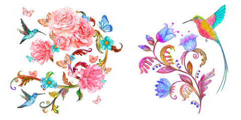 watercolor set of floral swirl with flowers and hummingbirds, butterflies. collection of blooming elements © Aloksa