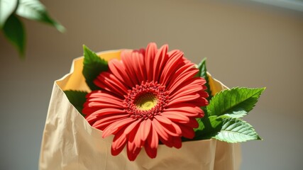 A single red gerbera daisy with green leaves peeks out of a brown paper bag, basking in the warm glow of sunlight.