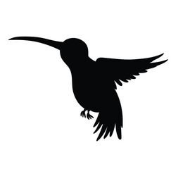 Cute cartoon hand drawn vector humming bird icon silhouette.