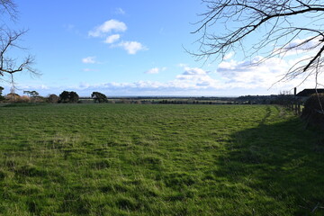 lush green agriculture grass field stretching into the distance