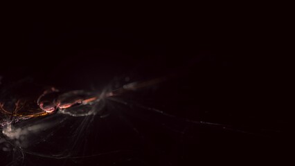 futuristische energievoll leuchtende Hintergrundgrafik, Technologie, Wissenschaft, KI, künstliche Intelligenz, Fortschritt, Forschung, Daten, Internet, digital, schwarz