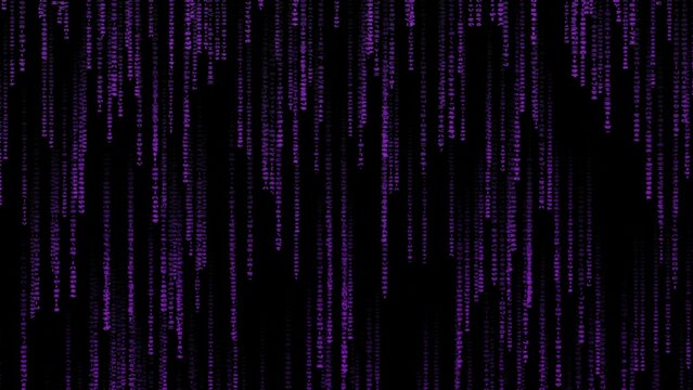 Matrix code, digital rain background, The falling purple characters in verical lines on computer screen