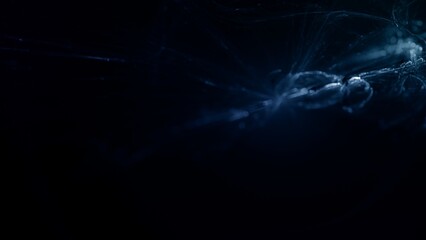 futuristische energievoll blau leuchtende Hintergrundgrafik, Technologie, Wissenschaft, KI, künstliche Intelligenz, Fortschritt, Forschung, Daten, Internet, digital, schwarz