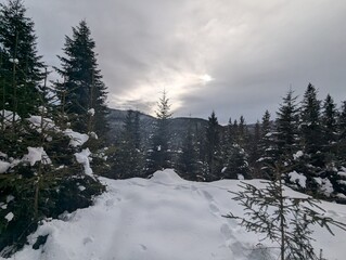 winter in the mountains