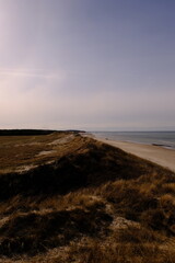 sand dunes and ocean shore.