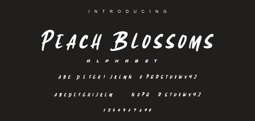 Abstract Marker Brush Font, Beach and Surf Font, include Uppercase and Lowercase Symbols