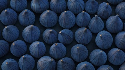 Obraz premium Fresh deep purple-blue figs are lined up in a row, taking on the colors of future dusk, forming a natural ornamental pattern 