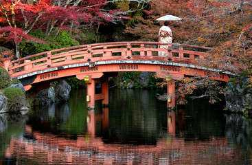 Asian traveler on Kimono traditional japanese dress walk on the red wooded bridge in autumn park on...