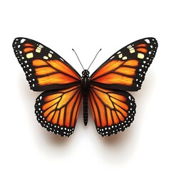 Naklejka premium Monarch butterfly nature macro photography close-up beauty