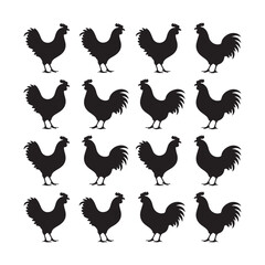 chicken silhouettes, set of chicken vector, silhouettes of hen chicken collection. silhouette chicken family
